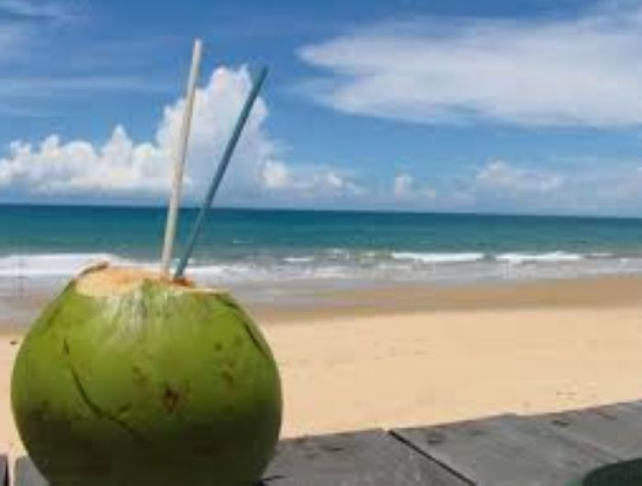 Preço da água de coco varia até 86% nas praias da Grande Vitória durante o verão