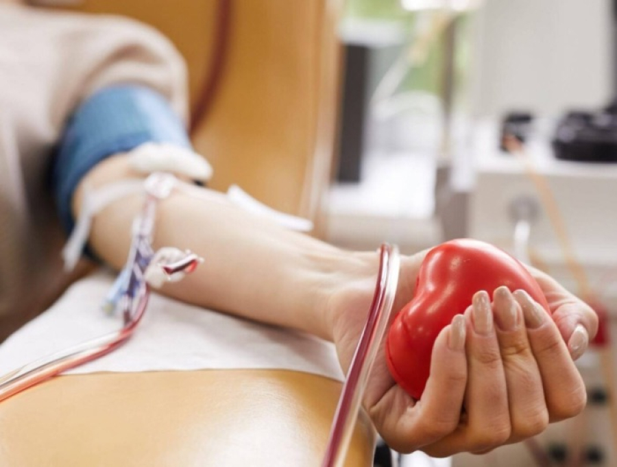 Família pede doação de sangue para menina de 10 anos ferida em grave acidente na BR-101, na Serra