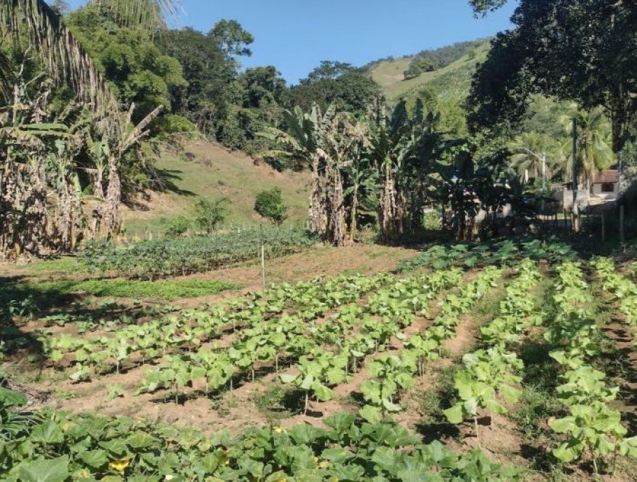 Cachoeiro seleciona projetos para desenvolver meio rural