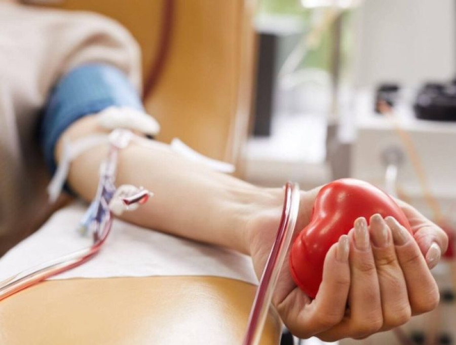 Vereadores de Cachoeiro de Itapemirim aprovam troca de multa por doação de sangue