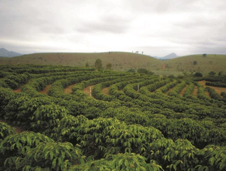 Incaper prevê chuvas dentro da média e temperaturas acima do normal em março no Espírito Santo