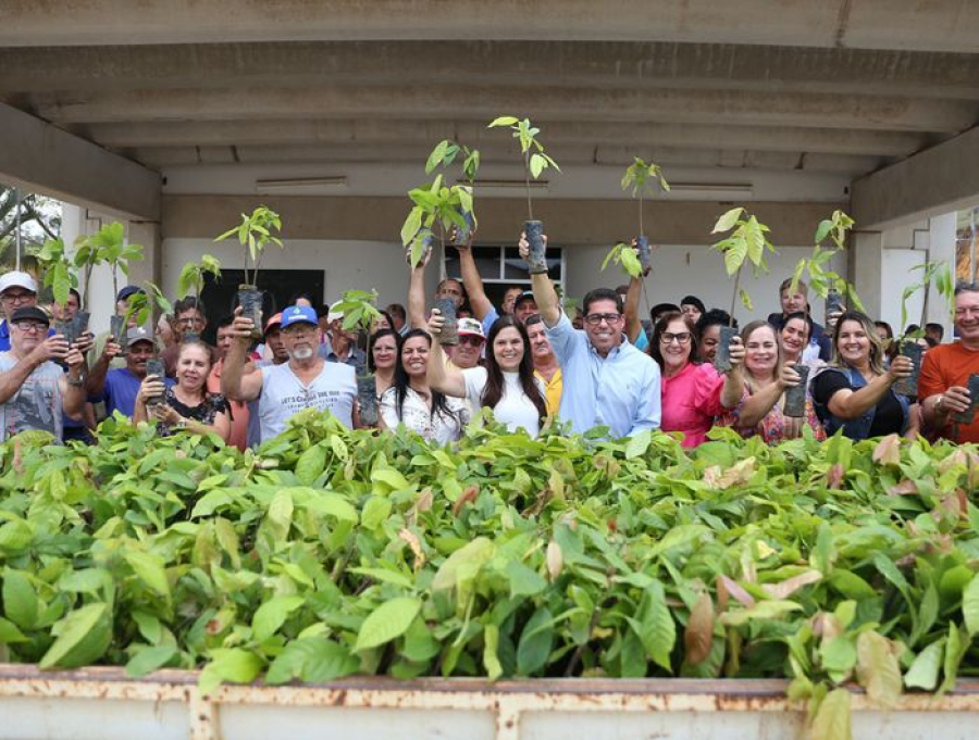 Ales lança modelo inédito no país e leva crédito de carbono à agricultura familiar