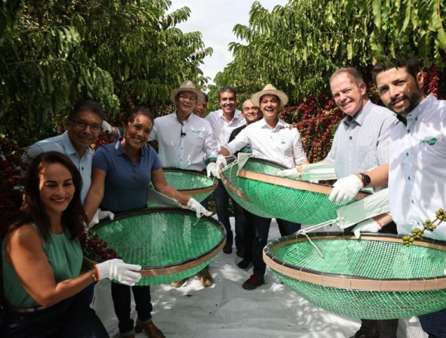 Governador abre oficialmente a colheita do café conilon no Espírito Santo