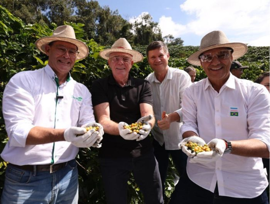 Governador realiza abertura oficial da colheita do café arábica no Espírito Santo