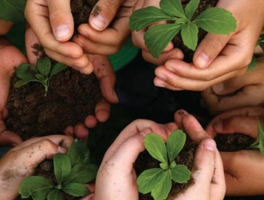 Cachoeiro promove Semana do Meio Ambiente com ações educativas, adoção de animais e cinema ambiental
