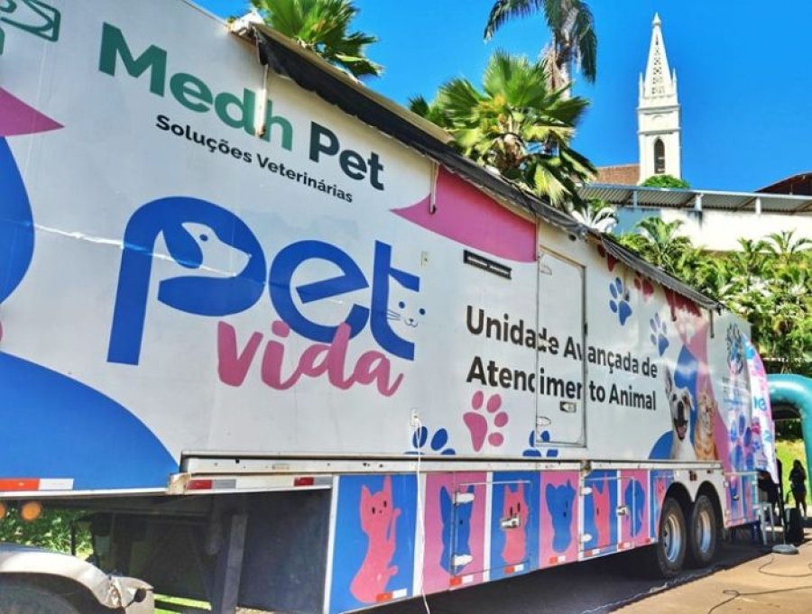 Ilha de Santa Maria e Jardim Camburi recebem ações do Pet Vida com 250 castrações e 350 vacinas gratuitas