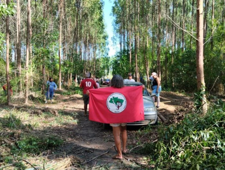 Governo do ES pede à Justiça reintegração de posse de área ocupada pelo MST em Linhares
