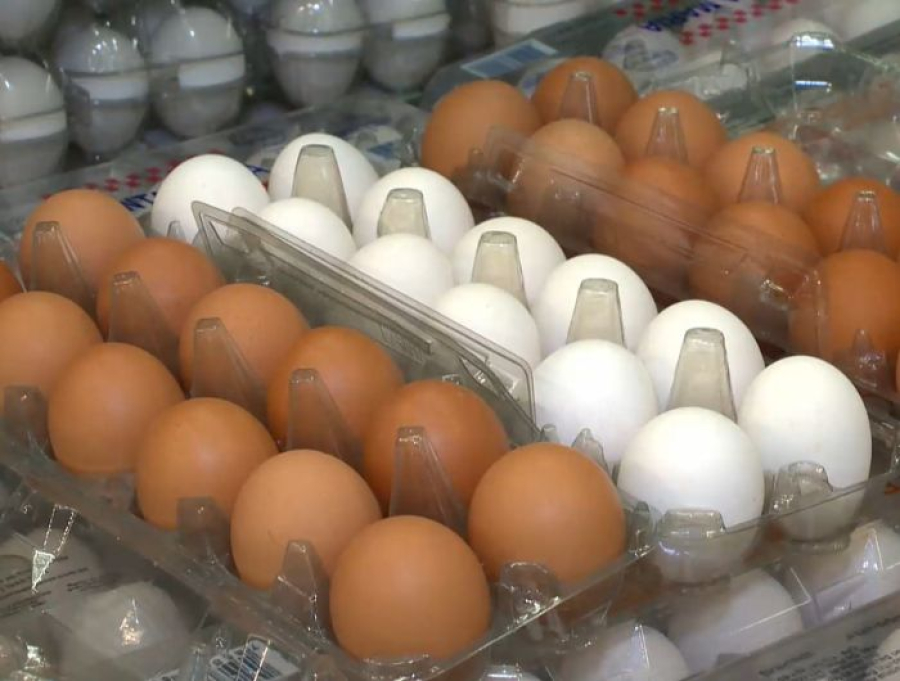 Tarifaço dos EUA poupa café capixaba, mas ameaça frango, ovos e pescados