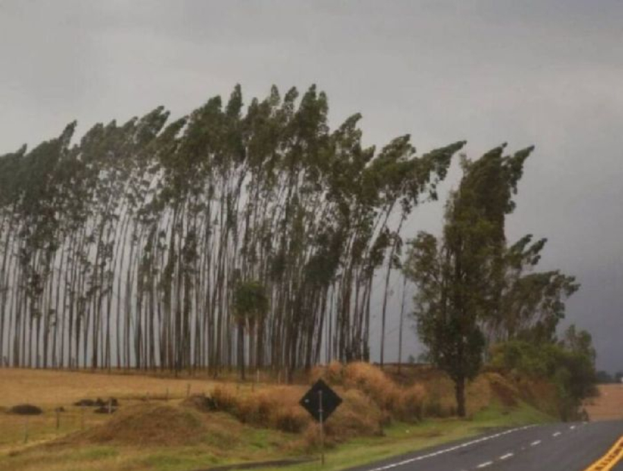 Espírito Santo entra em alerta para vendaval; ventos podem chegar a 70 km/h
