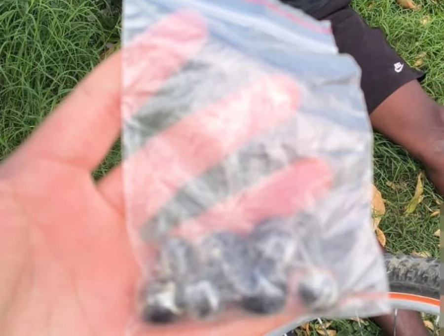 Suspeito de tráfico é preso com haxixe em porto pesqueiro de Itapemirim