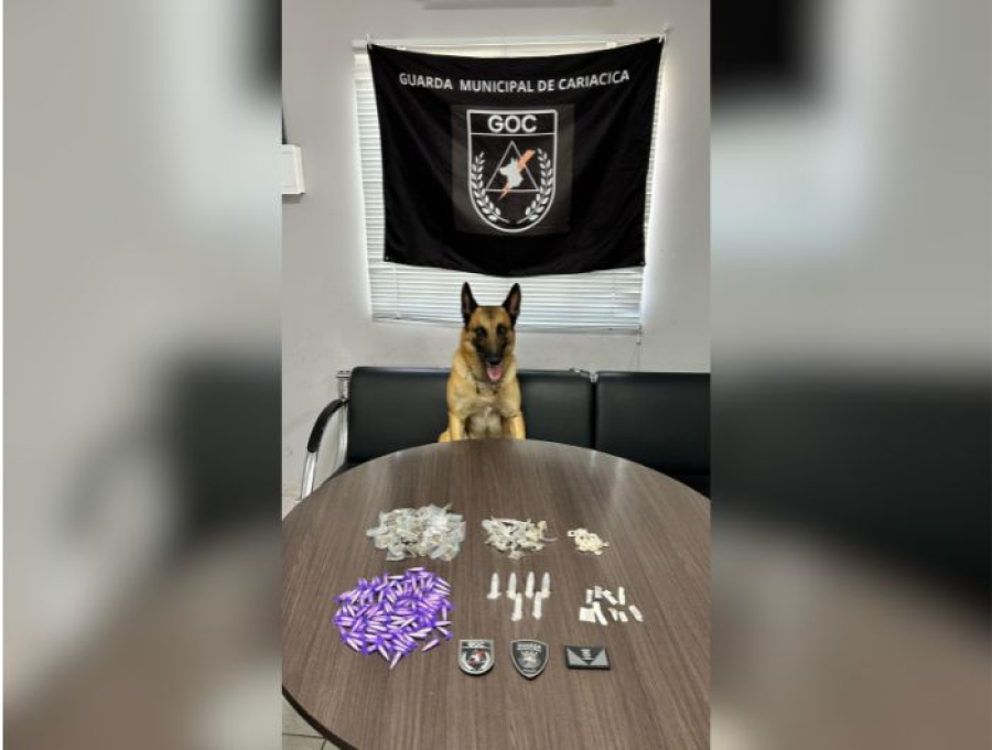 Guarda Municipal apreende cocaína, maconha e crack após denúncia em Cariacica