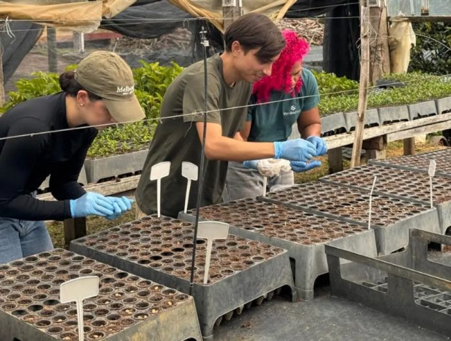 Empresa capixaba transforma casca de café em produto que ajuda plantas a absorver nutrientes